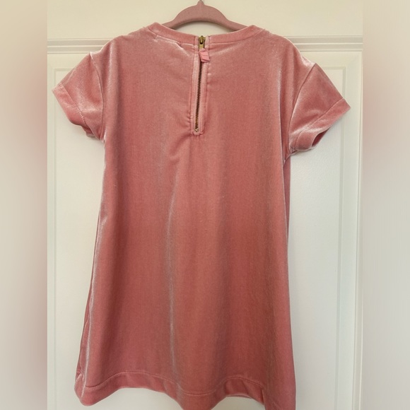 Crewcuts Velour T Shirt Dress 3 years. - Picture 2 of 3